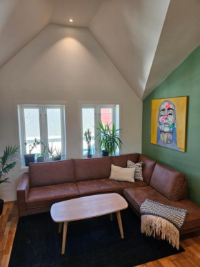 Modern apartment in city center